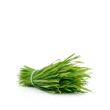 Wheatgrass 50g