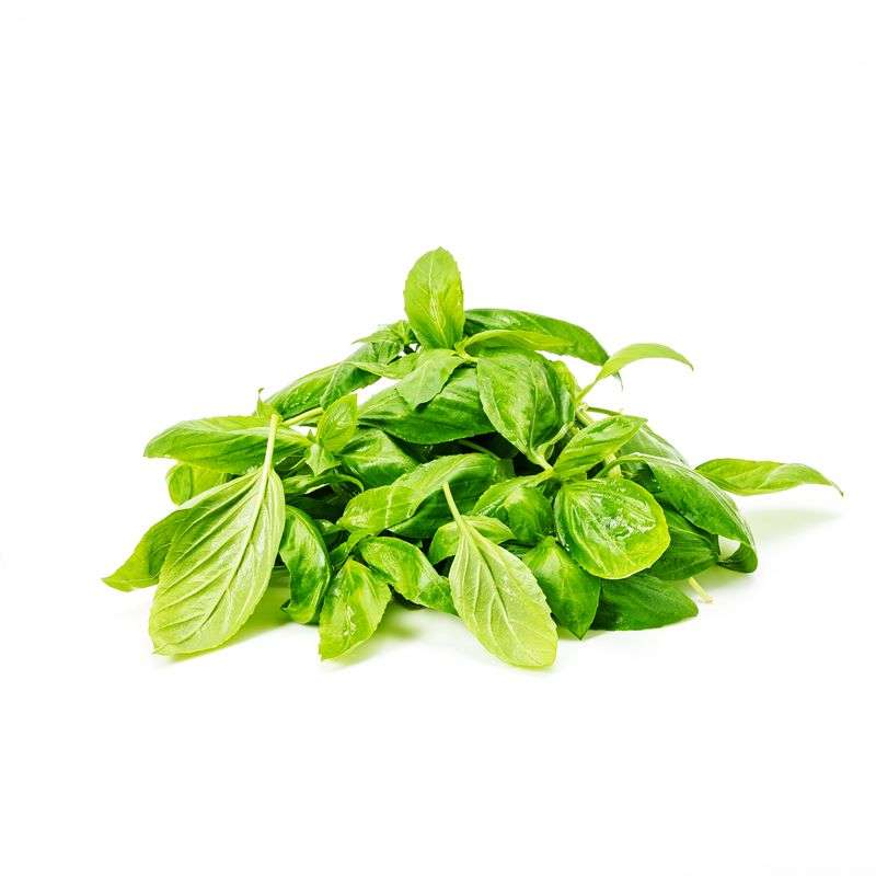 Buy Fresh Basil Online Organically Grown