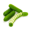 Cucumber