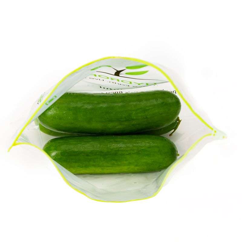 Cucumber