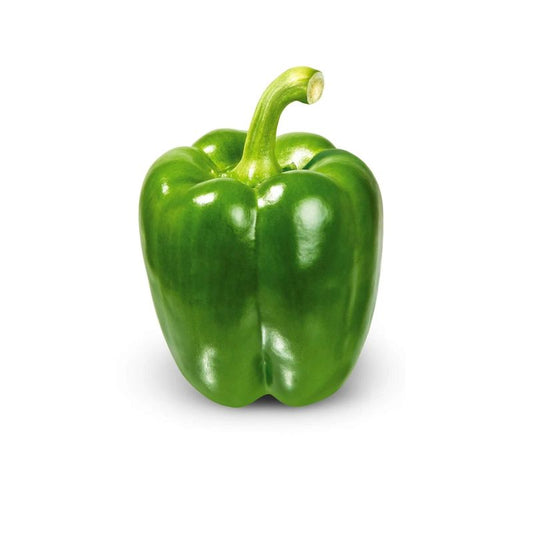 Hydroponic Green Capsicum
