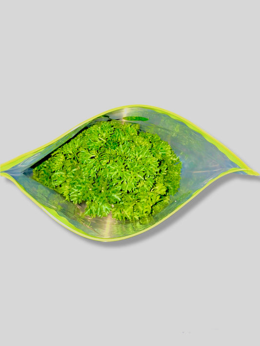 Hydroponic Parsley (Packed with vitamins A, K, and C)