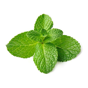 Organically Grown Mint - 100g