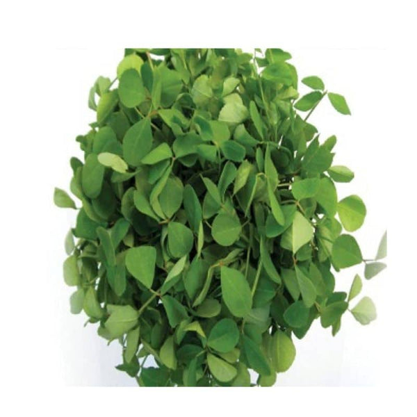 Fenugreek leaves (Methi) Organically grown, 250g Onlyhydroponics