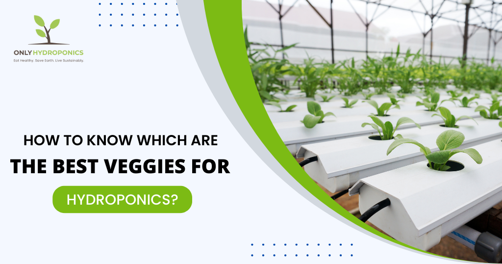 How to Know Which are the Best veggies for hydroponics?