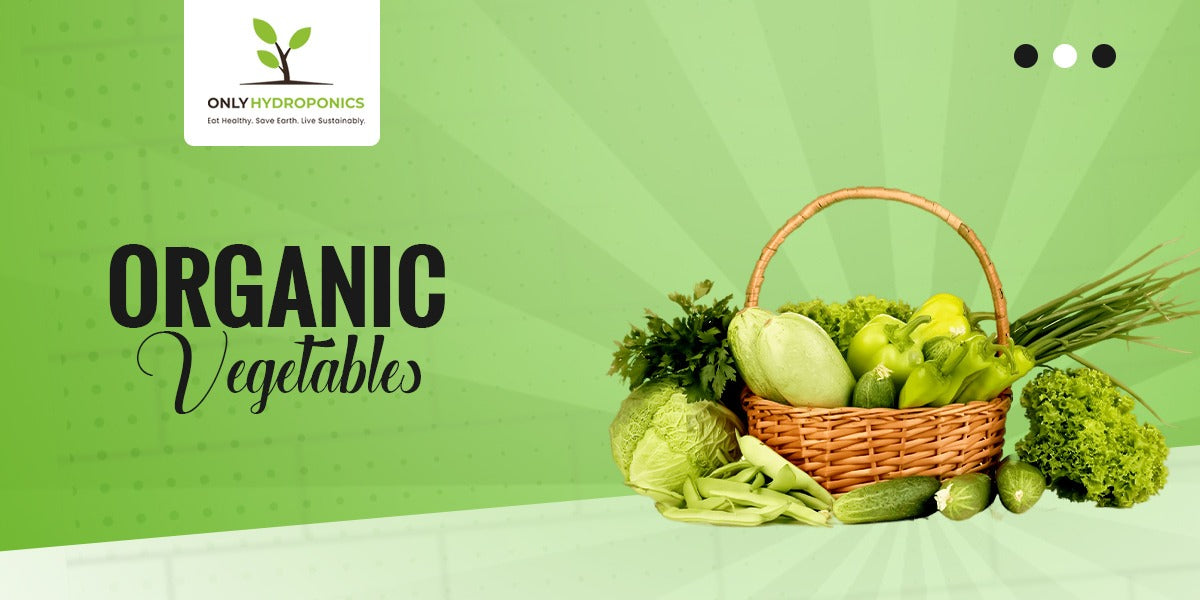 Delicious Organic Vegetable