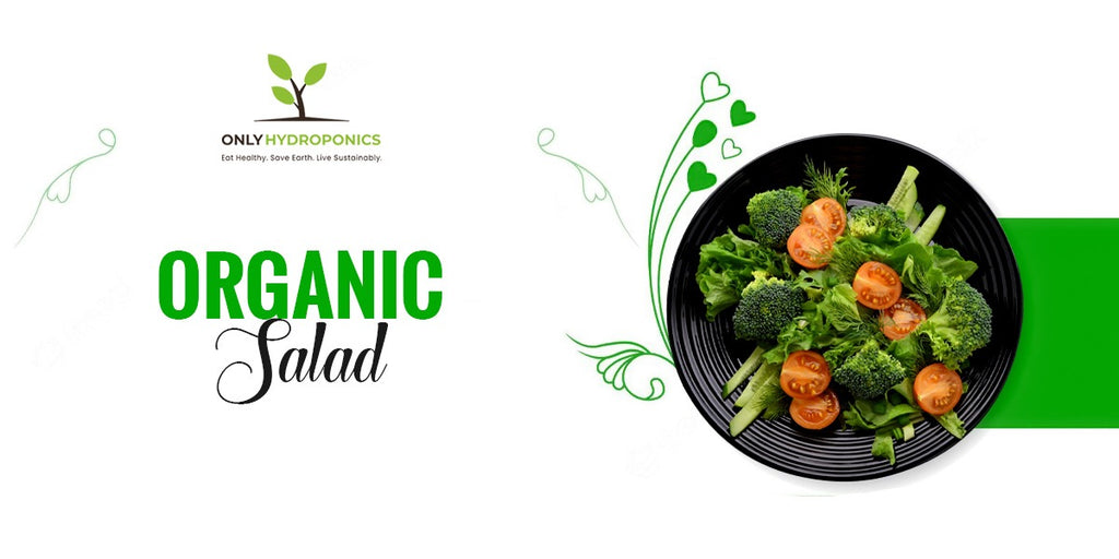 About Hydroponics And More Onlyhydroponics