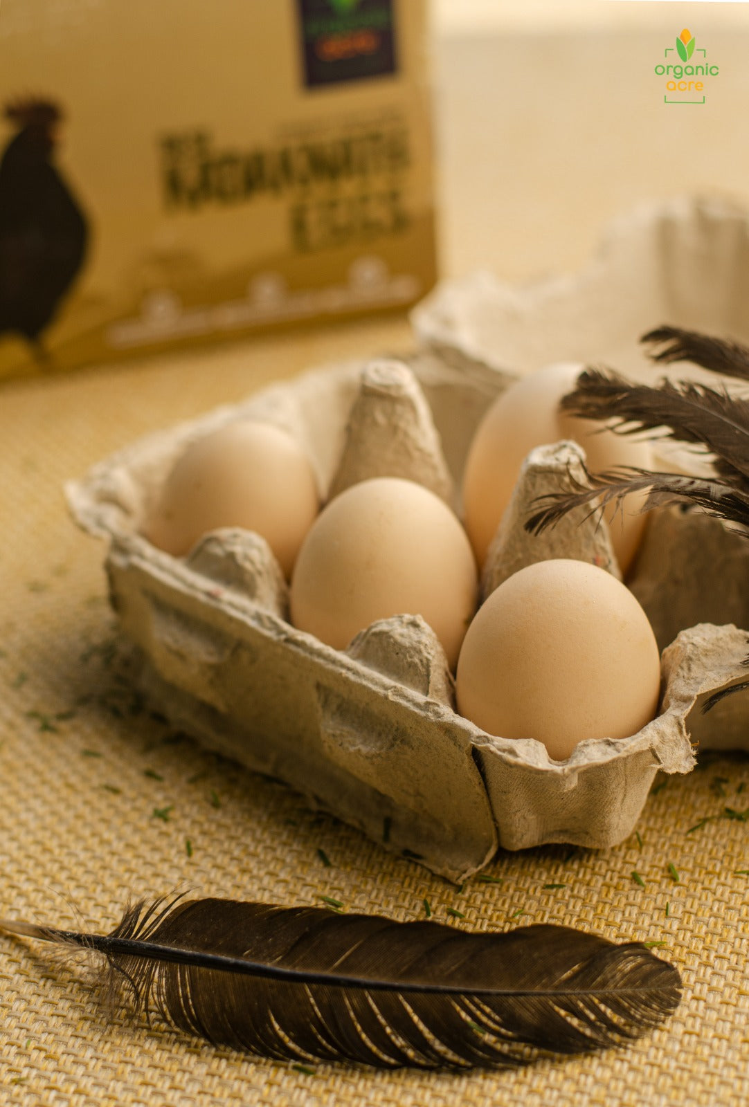 Premium Kadaknath Desi Organic Eggs (6 Eggs)