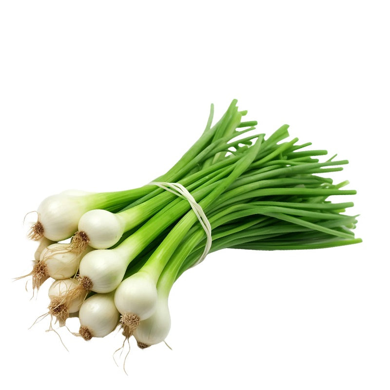 Spring Onion - Organically grown (500g)