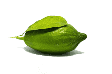Gondhoraj Lemon - 2 piece (200g-300g)