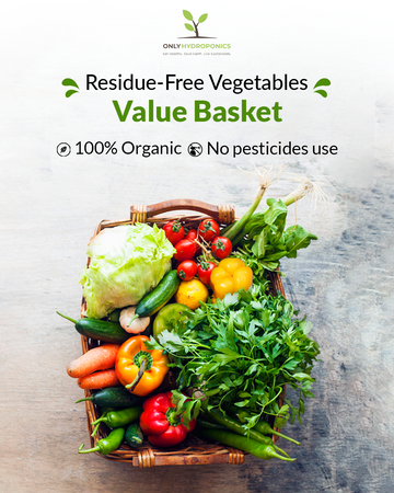 Organic Vegetable Value Basket