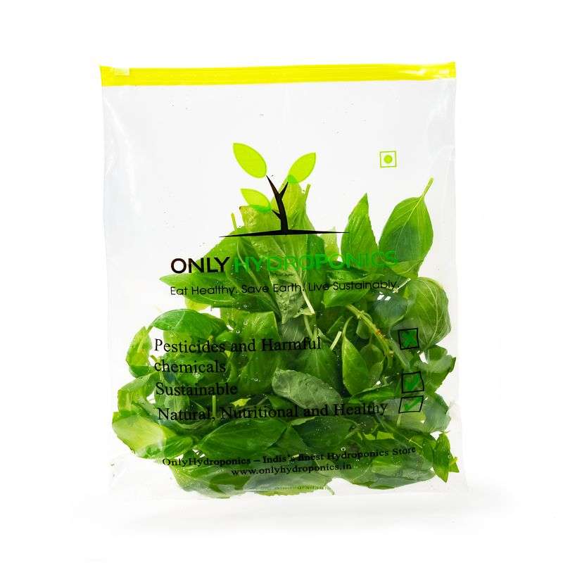 Hydroponic Italian Basil - Organically Grown (Add 2 units in cart to Get 1 for FREE)