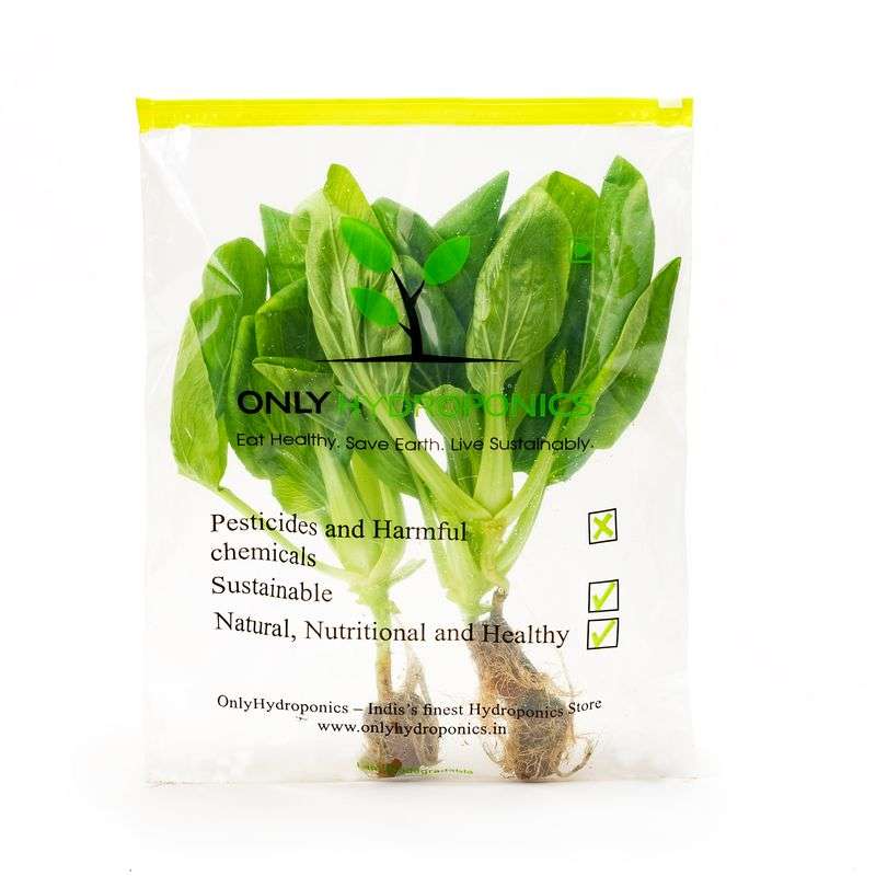 Hydroponic Bok choy/Pok Choi- Organically Grown (packed with vitamins A & C)