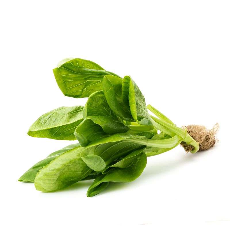 Hydroponic Bok choy/Pok Choi- Organically Grown (packed with vitamins A & C)