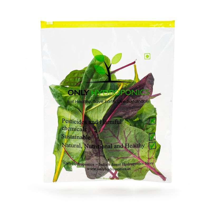 Hydroponic Swiss Chard- Organically Grown (THE nutritional powerhouse)