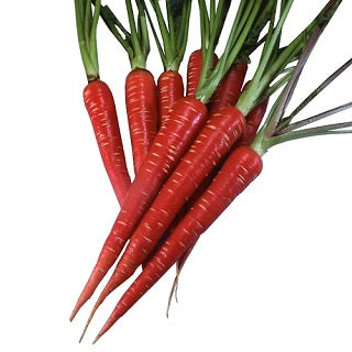 Red Carrot (Gajar) - Organically grown