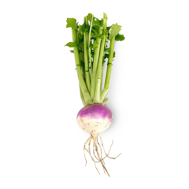 Organically grown Turnip (shaljam), 500g